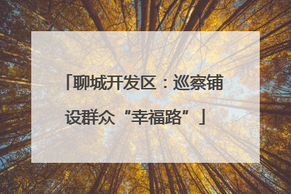 聊城开发区：巡察铺设群众“幸福路”