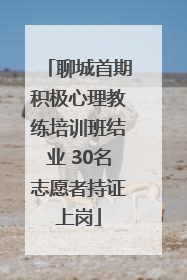 聊城首期积极心理教练培训班结业 30名志愿者持证上岗