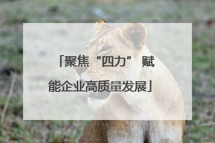 聚焦“四力” 赋能企业高质量发展