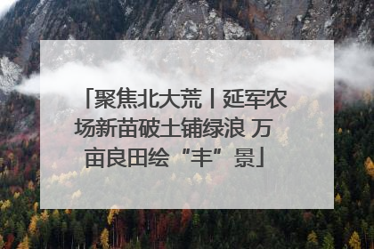 聚焦北大荒丨延军农场新苗破土铺绿浪 万亩良田绘“丰”景