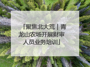 聚焦北大荒｜青龙山农场开展财审人员业务培训