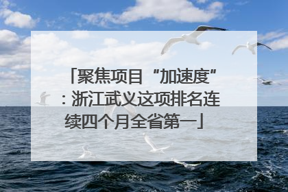 聚焦项目“加速度”：浙江武义这项排名连续四个月全省第一