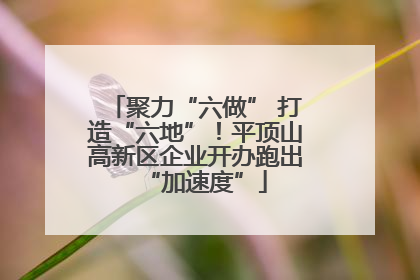 聚力“六做” 打造“六地”！平顶山高新区企业开办跑出“加速度”