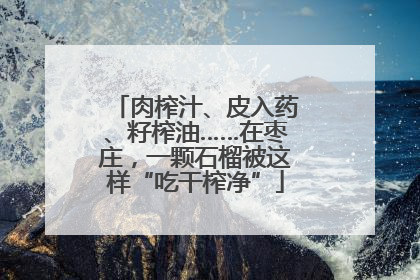 肉榨汁、皮入药、籽榨油……在枣庄，一颗石榴被这样“吃干榨净”