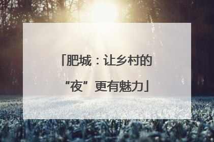 肥城：让乡村的“夜”更有魅力