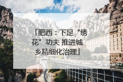 肥西：下足“绣花”功夫 推进城乡精细化治理