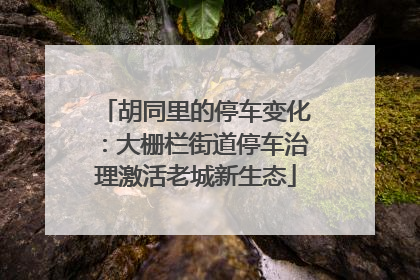 胡同里的停车变化：大栅栏街道停车治理激活老城新生态