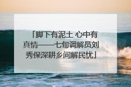 脚下有泥土 心中有真情——七旬调解员刘秀保深耕乡间解民忧