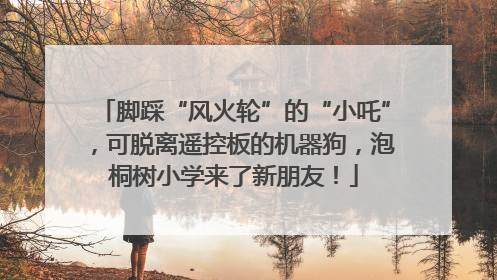 脚踩“风火轮”的“小吒”，可脱离遥控板的机器狗，泡桐树小学来了新朋友！
