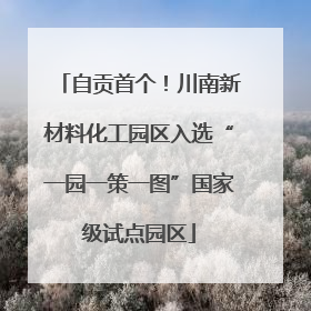 自贡首个！川南新材料化工园区入选“一园一策一图”国家级试点园区
