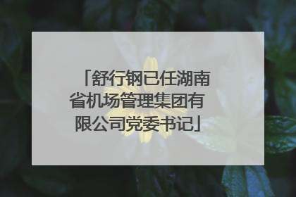 舒行钢已任湖南省机场管理集团有限公司党委书记