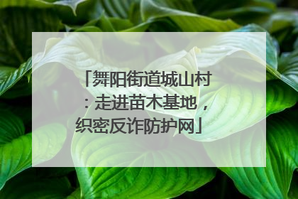 舞阳街道城山村：走进苗木基地，织密反诈防护网