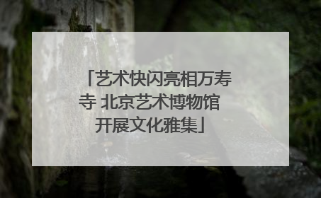 艺术快闪亮相万寿寺 北京艺术博物馆开展文化雅集