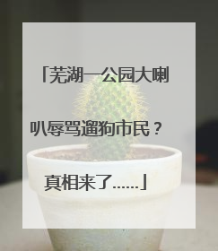 芜湖一公园大喇叭辱骂遛狗市民？真相来了……