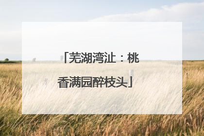 芜湖湾沚：桃香满园醉枝头