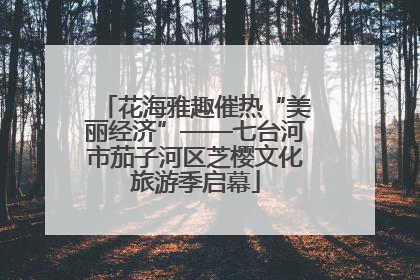 花海雅趣催热“美丽经济”——七台河市茄子河区芝樱文化旅游季启幕