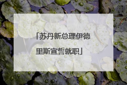 苏丹新总理伊德里斯宣誓就职