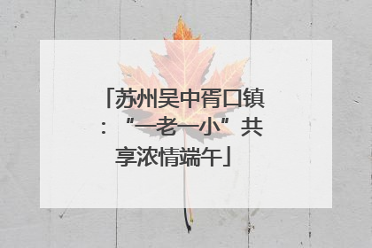 苏州吴中胥口镇：“一老一小”共享浓情端午
