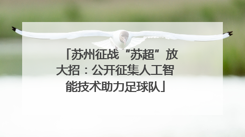 苏州征战“苏超”放大招：公开征集人工智能技术助力足球队