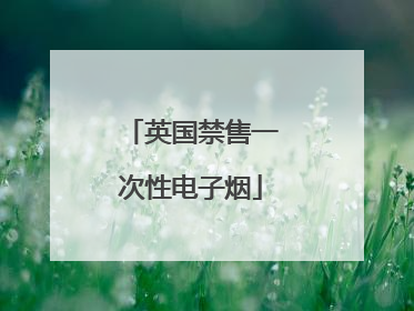 英国禁售一次性电子烟