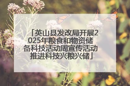 英山县发改局开展2025年粮食和物资储备科技活动周宣传活动 推进科技兴粮兴储