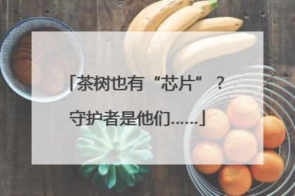 茶树也有“芯片”？守护者是他们……
