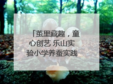 茧里藏趣，童心创艺 乐山实验小学养蚕实践绘就成长画卷