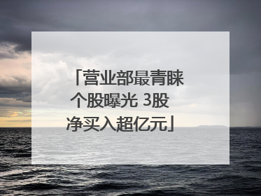 营业部最青睐个股曝光 3股净买入超亿元