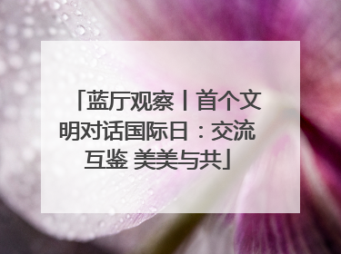 蓝厅观察丨首个文明对话国际日：交流互鉴 美美与共