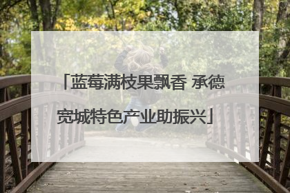 蓝莓满枝果飘香 承德宽城特色产业助振兴