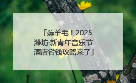 薅羊毛！2025潍坊·新青年音乐节酒店省钱攻略来了