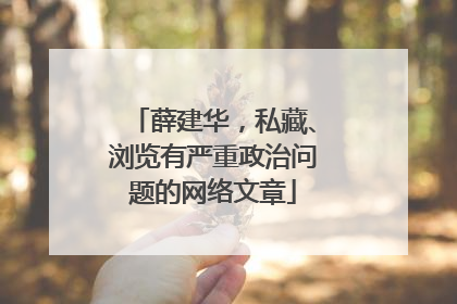 薛建华，私藏、浏览有严重政治问题的网络文章