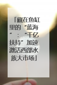 藏在鱼缸里的“蓝海”：“千亿扶持”加速激活西部水族大市场