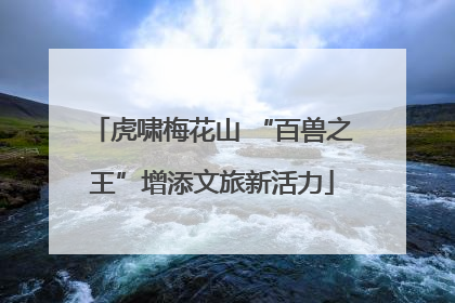 虎啸梅花山 “百兽之王”增添文旅新活力