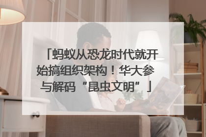 蚂蚁从恐龙时代就开始搞组织架构！华大参与解码“昆虫文明”