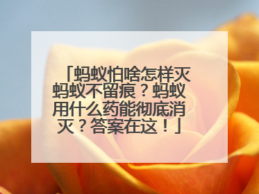 蚂蚁怕啥怎样灭蚂蚁不留痕？蚂蚁用什么药能彻底消灭？答案在这！