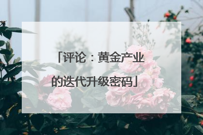 评论：黄金产业的迭代升级密码