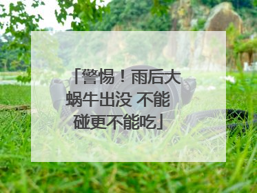 警惕！雨后大蜗牛出没 不能碰更不能吃