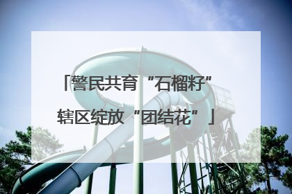 警民共育“石榴籽” 辖区绽放“团结花”