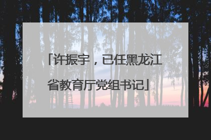 许振宇，已任黑龙江省教育厅党组书记