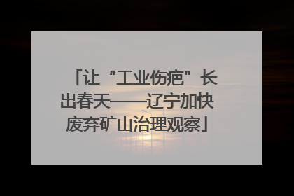 让“工业伤疤”长出春天——辽宁加快废弃矿山治理观察