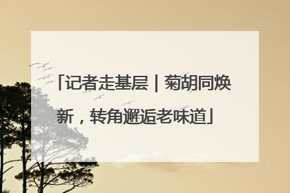 记者走基层｜菊胡同焕新，转角邂逅老味道