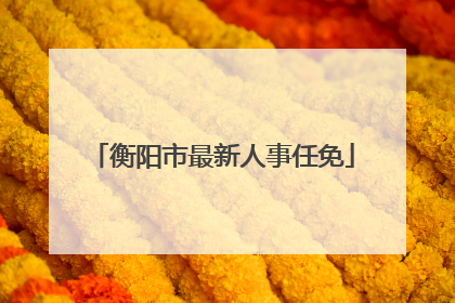 衡阳市最新人事任免