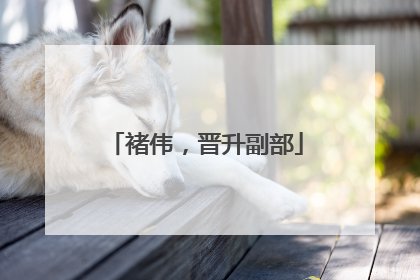 褚伟，晋升副部