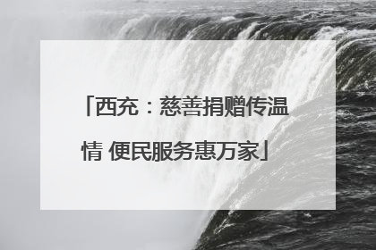 西充：慈善捐赠传温情 便民服务惠万家