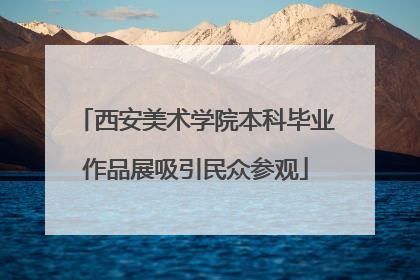 西安美术学院本科毕业作品展吸引民众参观