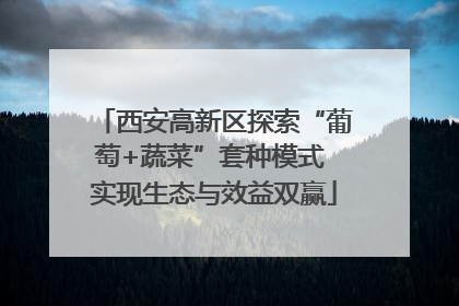 西安高新区探索“葡萄+蔬菜”套种模式 实现生态与效益双赢