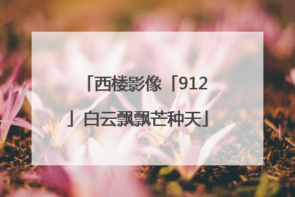 西楼影像「912」白云飘飘芒种天