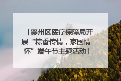 襄州区医疗保障局开展“粽香传情，家国情怀”端午节主题活动