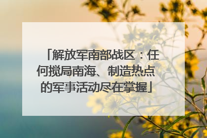 解放军南部战区：任何搅局南海、制造热点的军事活动尽在掌握